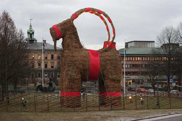 cabra-de-paja-en-Gävle