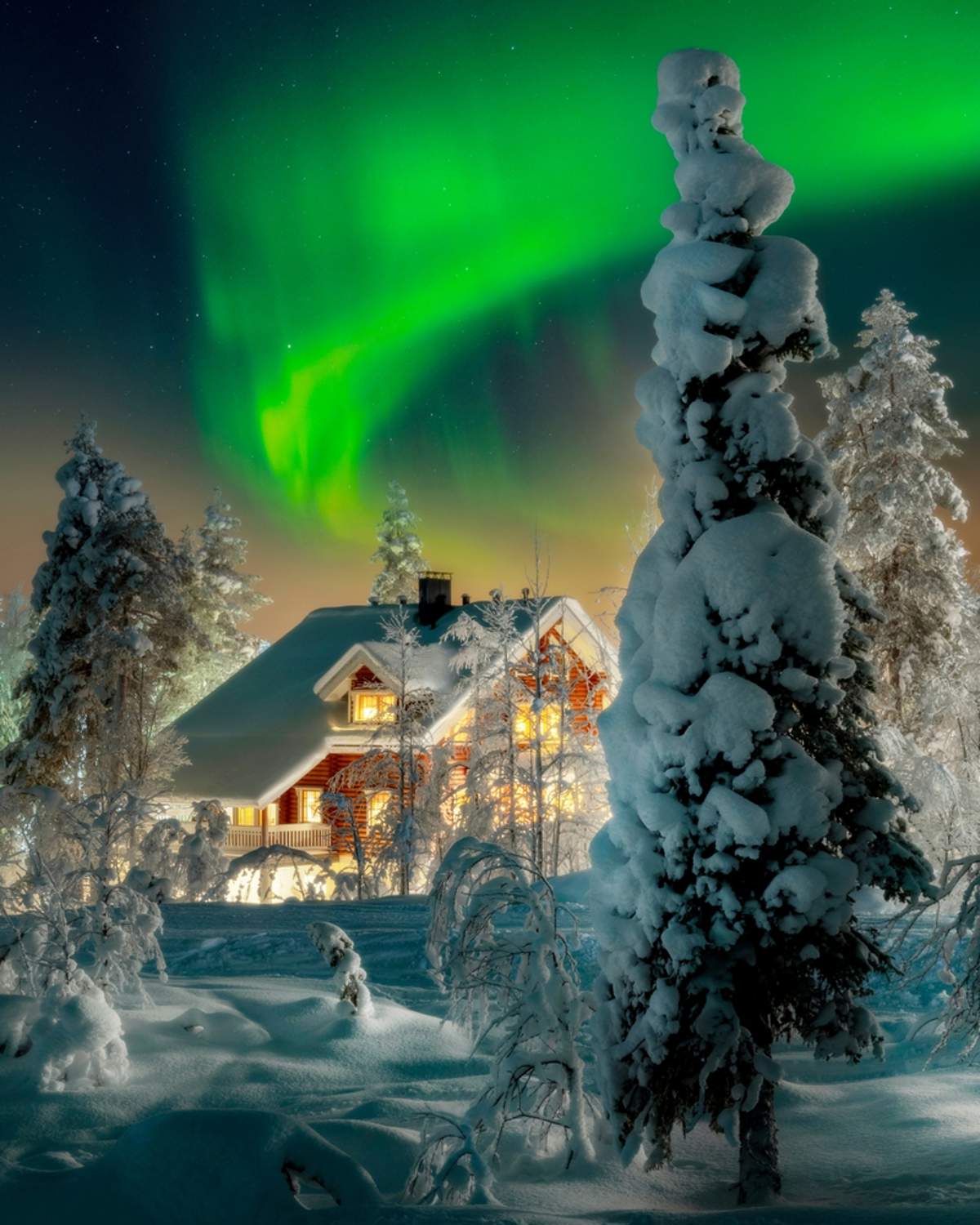 Beautiful,Winter,Night,With,Northern,Lights,(aurora,Borealis),In,The
